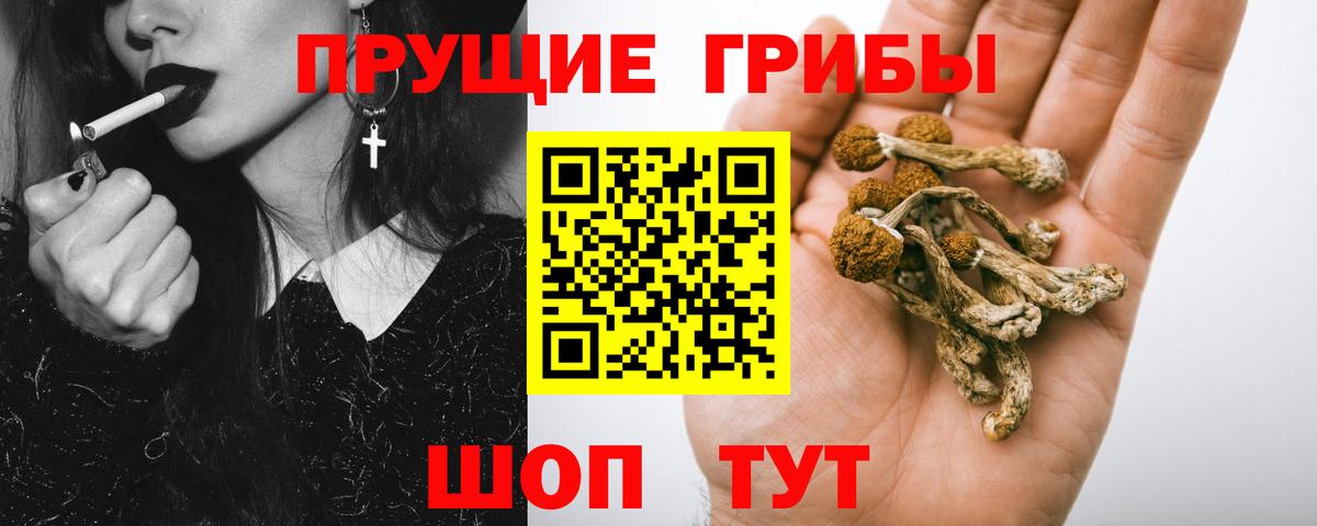 Южноуральск  Псилоцибиновые грибы Magic Shrooms  Вход с VPN 